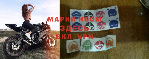 хмурый Алексин