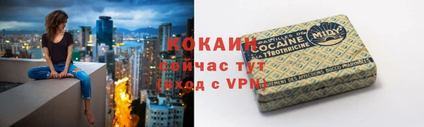 хмурый Алексин
