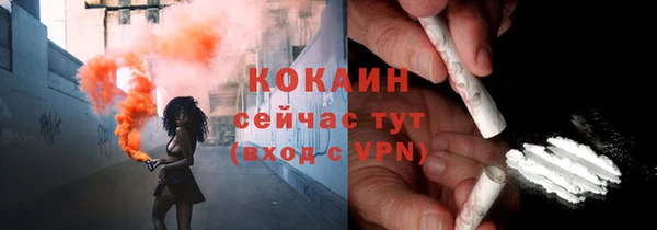 хмурый Алексин
