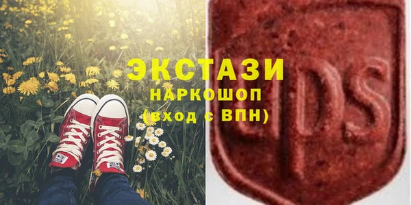 хмурый Алексин